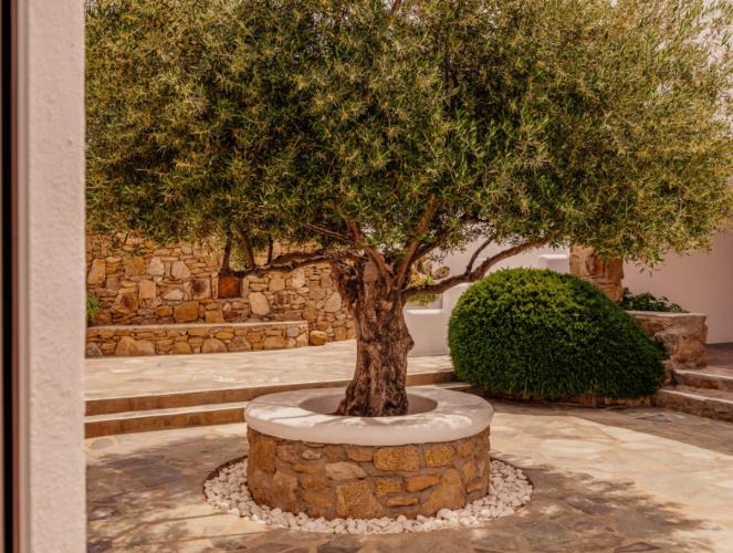 فندق Soho Roc House Mykonos بارانْغا الغرفة الصورة